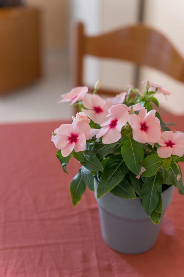 Ammousa Hotel Apartments Lixouri Zewnętrze zdjęcie