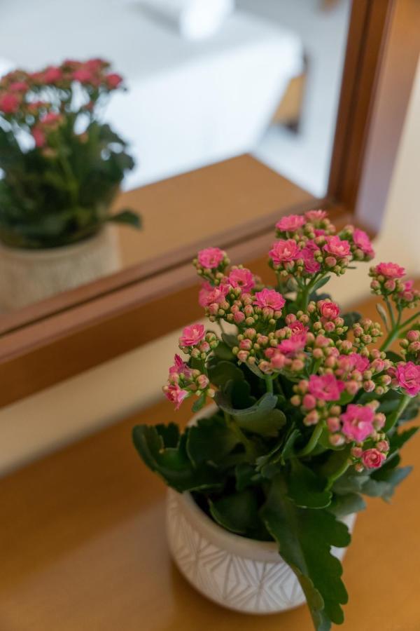 Ammousa Hotel Apartments Lixouri Zewnętrze zdjęcie