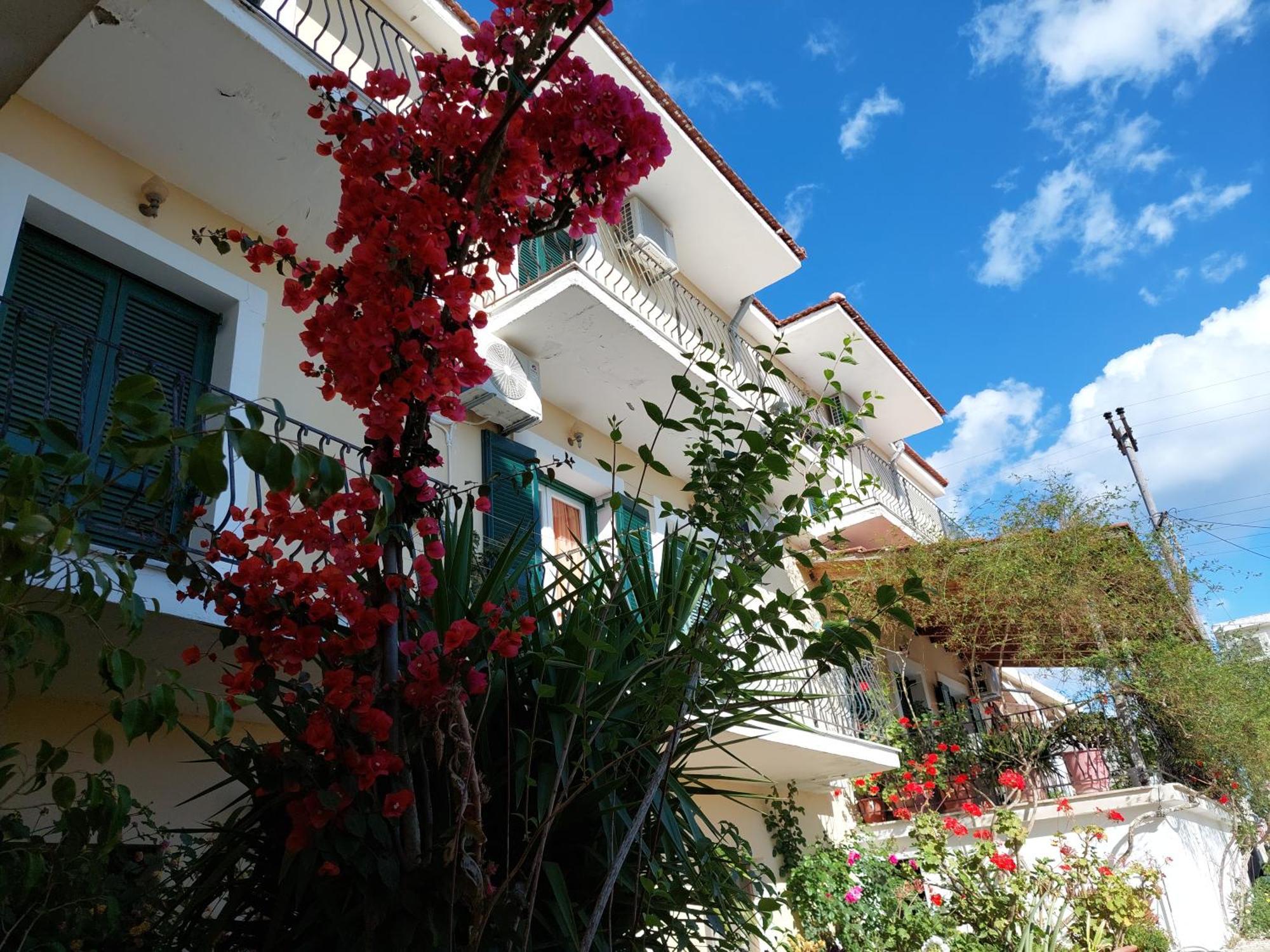 Ammousa Hotel Apartments Lixouri Zewnętrze zdjęcie