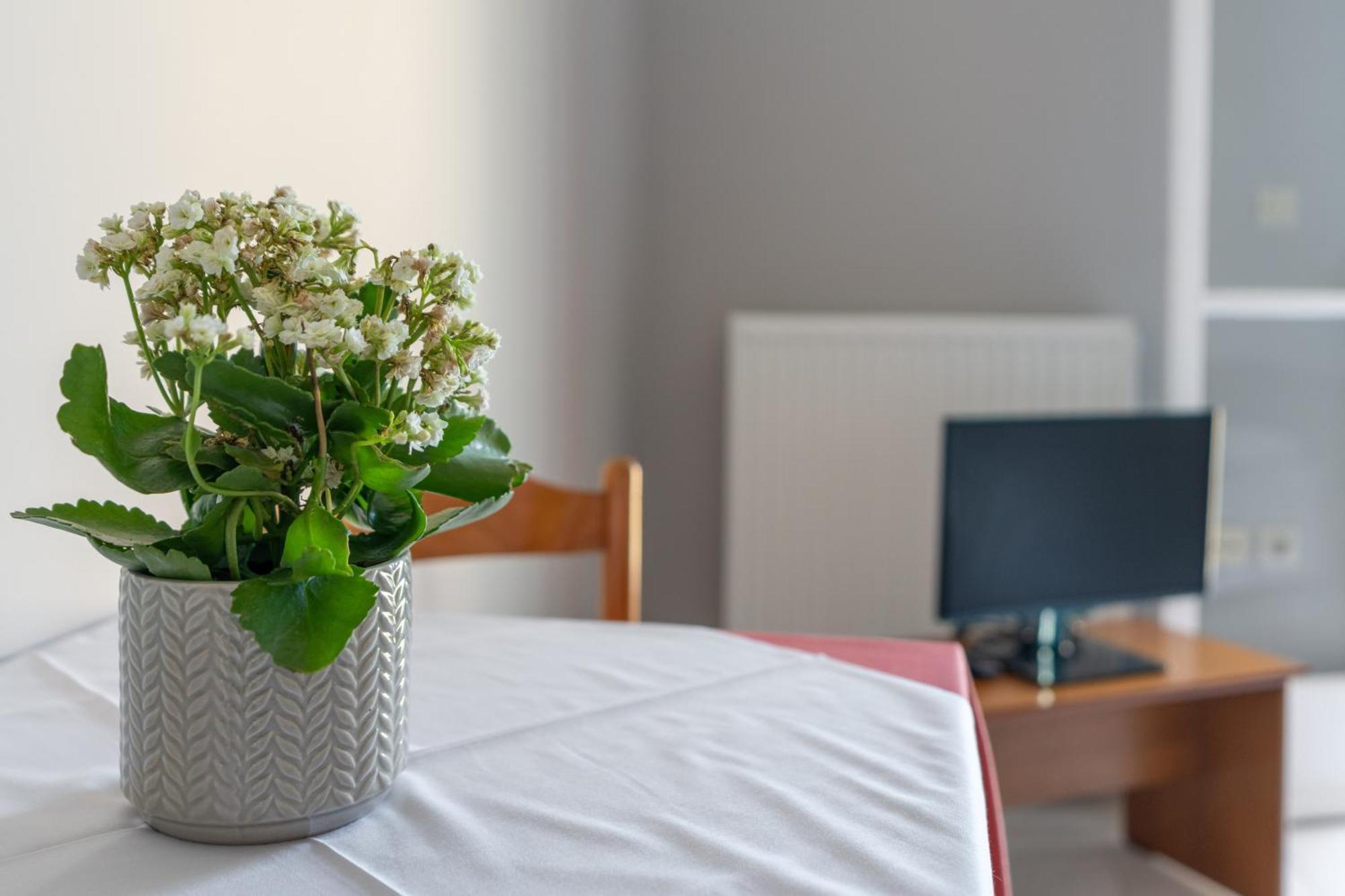 Ammousa Hotel Apartments Lixouri Zewnętrze zdjęcie