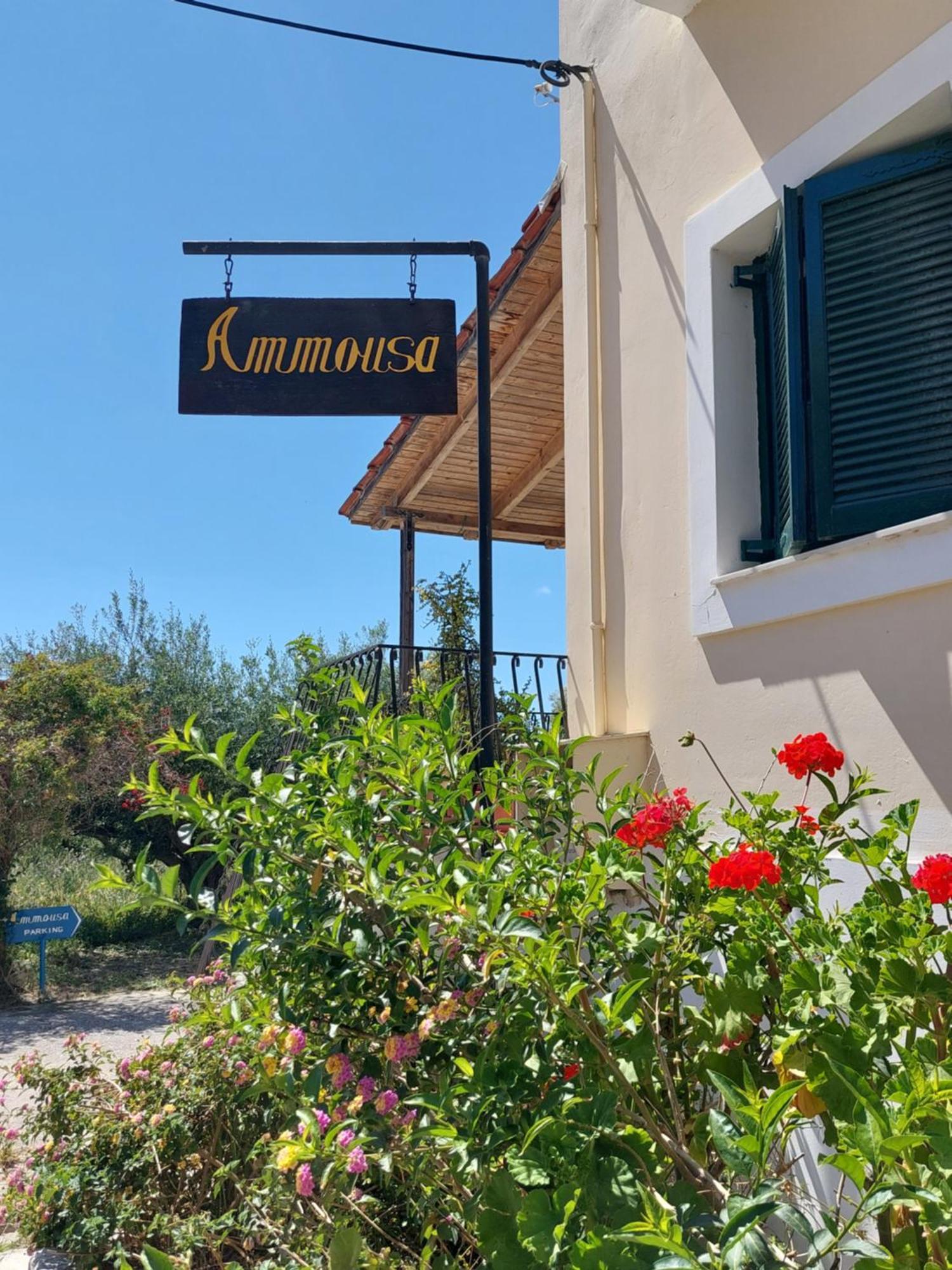 Ammousa Hotel Apartments Lixouri Zewnętrze zdjęcie