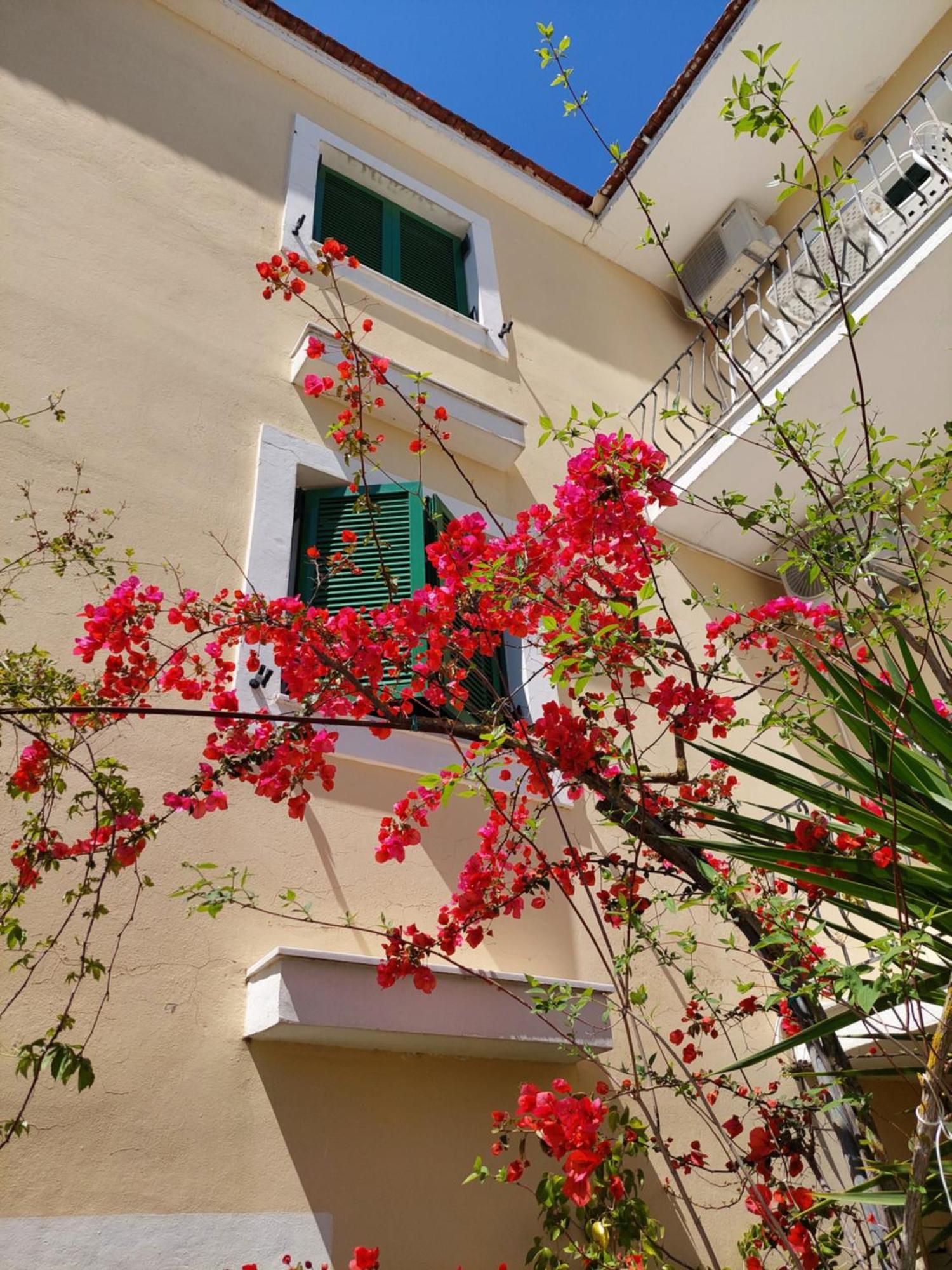 Ammousa Hotel Apartments Lixouri Zewnętrze zdjęcie